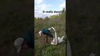 irl #shitpost