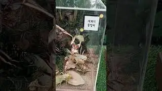 2026년 1월 4일
