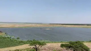 Travel jərnē - Kenya Edition: 1 Day Safari at Amboseli National Park - Video VI