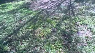 House For Sale North Charleston 4 Bedroom 2 Bath FSBO Good Rental