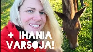 TUNNISTA VATSALIHASTEN ERKAUMA I Eroon P&ouml;mpp&ouml;vatsasta -vlogi 2.  ja 3. viikko