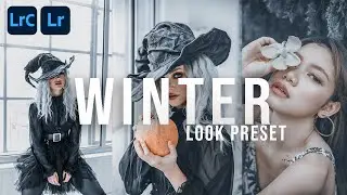 December winter look lightroom preset | Lightroom Editing Tutorial Free DNG