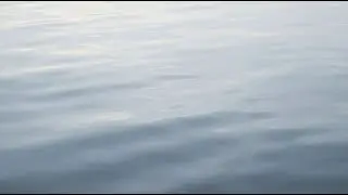 Flowing Stillness 🌿 | Ambient Healing Music Inspired by Gentle Water
