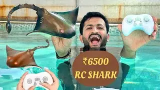 Remote Control Shark ,2.4G High Simulation RC Fish Swimming  Unboxing and Testing - JMV TOYS