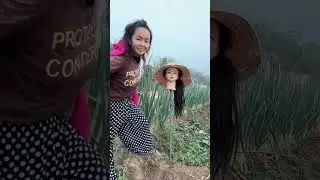 Scarecrow Setup: The Farming Defense Begins! 조류 퇴치를 위한 허수아비 설치 #shorts #farming