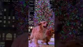 DOGS ARE ENJOYING #cryptids #mythicalbeasts #legends #virtualcreatures #unexplained