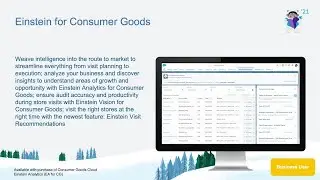 Consumer Goods: Einstein for Consumer Goods