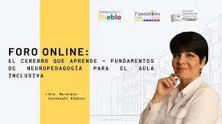 🚀EL CEREBRO QUE APRENDE – FUNDAMENTOS DE NEUROPEDAGOGÍA PARA EL AULA INCLUSIVA