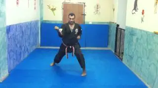 HANGETSU KATA  BY ARKIA ROBEEN - AGKAI ISRAEL