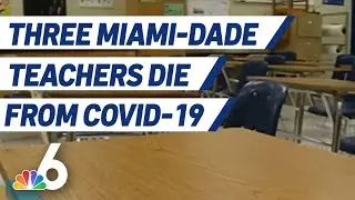 Three Miami-Dade Teachers Die of COVID-19: Union