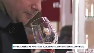 I VINI CALABRESI AL WINE PARIS 2025. ESPORTAZIONI IN CRESCITA CONTINUA