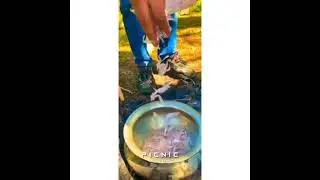 Picnic video whatsapp status 2022🎉 party video whatsapp status ✨🎉😍