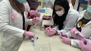 مختبر بيولوجي جزيئي استخلاص DNA الجزء 1