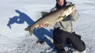 Cold Lake, Lake Trout Fishing 2017