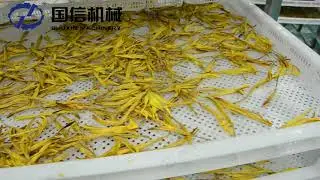 Industrial Drying Oven Lemon Drying Machine CE Approved Dryer