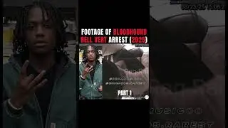 Rell Vert Gets Jumped By Police & Bit By Dogs In Georgia #bloodhound