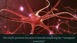 Do We Only Use 10% of Our Brain? &ndash; The Myth Explained