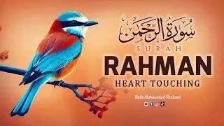 Surah Rahman Reading with Eng translation | سورۃ الرحمن | Quran Tilawat by Hafiz Muhammad Shahzad