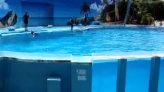 Zoo Marine Portugal