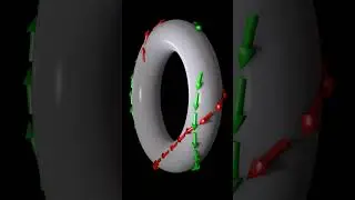 Geodesics on a donut universe