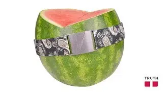 | TruthBelts | Vegan Vegetarian Belts & Fashion
