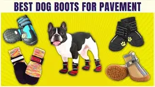 Best Dog Boots For Running On Pavement - Dog Boots For Hiking