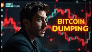 Медвежий рынок биткоина: настоящая причина краха биткоина и что будет дальше
