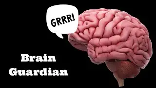 Microglia: The Guardian of Your Brain