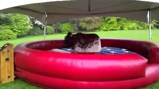 Moonbounce Rentals Boston | Total Entertainment |
