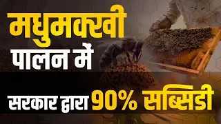 मधुमक्खी पालन पे 90% सब्सिडी | 90% Subsidy on Bee farming