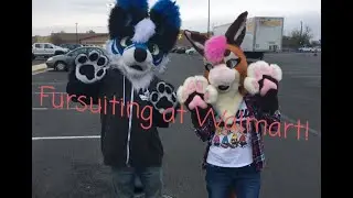 Fursuiting at Walmart! (Feat. Briggs the Fox!)