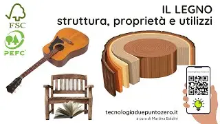 Il legno Utilizzi Proprietà e struttura
