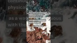 Do you agree? 🤔 #alanwatts #continuous #connected #waves #ocean #universe  #physicaluniverse