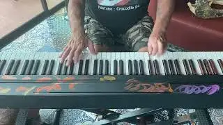 Advanced Piano Training, exercises, coordination, accuracy,  @pianoboyroger   @crocodile_tv_show