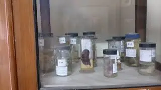 @ZOOPHILIST 