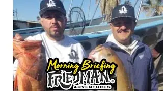 Calm seas in Baja and Southern California, Baja rockfish with So Cal bass, sculpin & rockfish