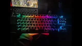 Typing Sound Test &mdash; ASUS ROG Strix Scope TKL (Cherry MX Red) | 3 Mins