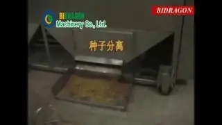 Chili seed removing machine