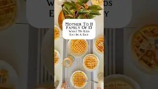 How Do I FEED My Children 6 Times A Day?