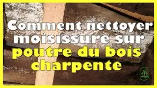 Comment nettoyer moisissure sur poutre du bois charpente