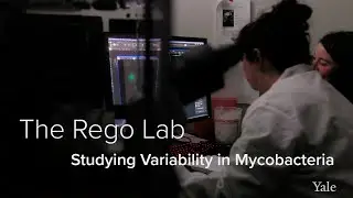 Mycobacteria, Advanced Microscopy, & Cell Metabolism - The Rego Lab at Yale School of Medicine