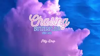 Chasing Butterflies-Pilly Mix