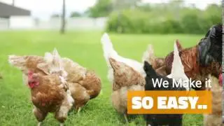 Beautiful Backyard Chicken Coops - the Chicken Coop Company