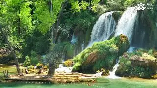 Relaxing Jungle Waterfall. Calming Nature Sounds. (10 hours 4k). White Noise for sleeping.