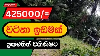 Aduwata Idam | Land Sale in Sri Lanka | Low Budget Land  Sale | Adumilata idam gewal