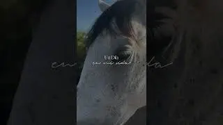 Un d&iacute;a en mi vida de cabalos con la doma india