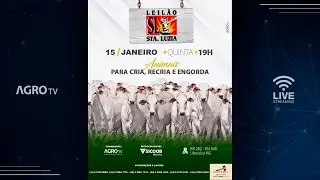 LEILÃO SANTA LUZIA - 15/01/2026