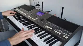Antek Smykiewicz - Pomimo Burz YAMAHA PSR s670 KEYBOARD COVER