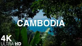 Peaceful Summer in Kep Province 🌿 | Relaxing Nature Video | 4K
