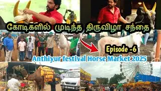அந்தியூர் குருநாதசாமி தேர் திருவிழா|Episode-6|2025|கால்நடைச் சந்தை முடிந்தது